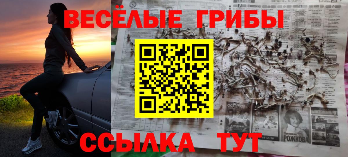 купить  сайты  Галлюциногенные грибы мицелий  Вход с VPN  Менделеевск 
